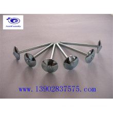 Umbrella head roofing nails manufacturer